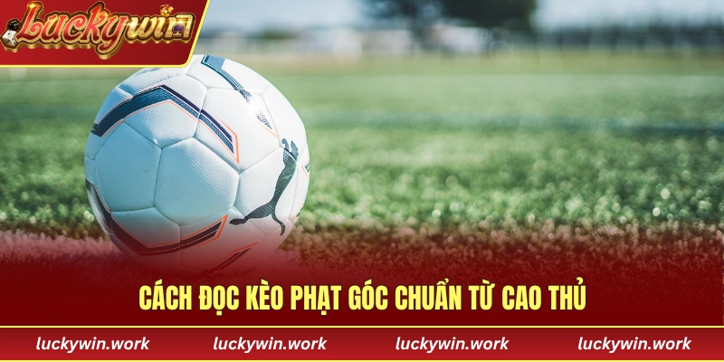 Cách đọc kèo phạt góc chuẩn nhất từ các cao thủ